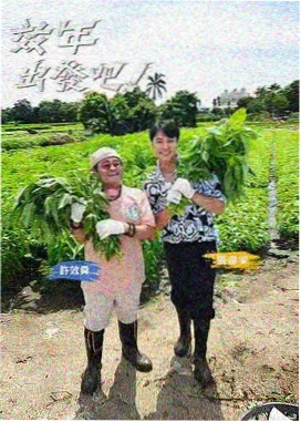 屋顶露营 慢综艺在线观看